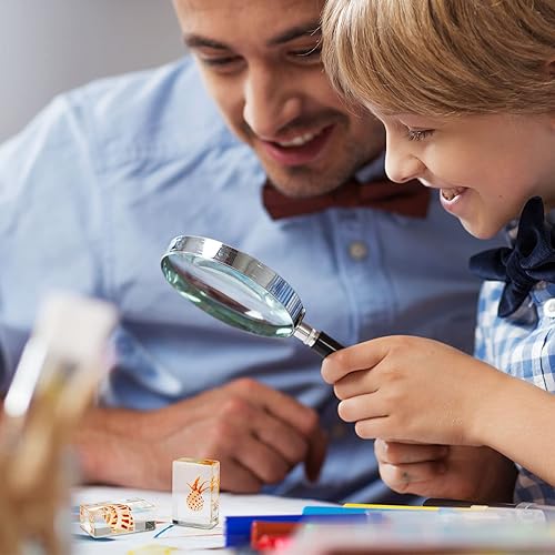 Vista 14 de 12 piezas de insectos en resina colección de insectos de resina de arácnidos, pisapapapeles de diferentes insectos para niños, juguete educativo