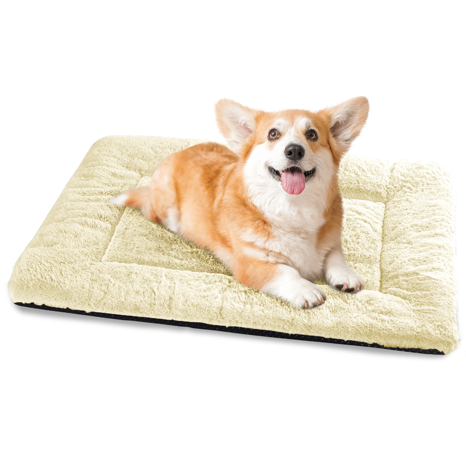 Baodan Wasbaar hondenbed voor middelgrote honden, 90 x 60 cm