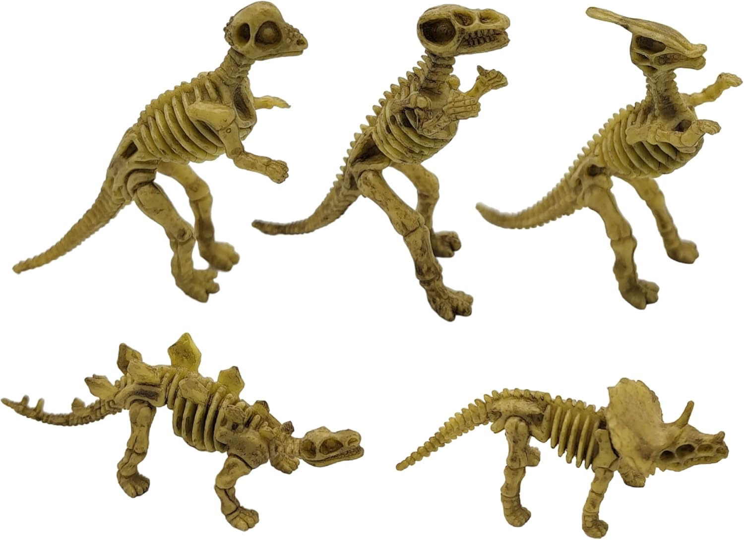 Zugar Land Ancient History 3"-4" Dinosaur Fossil Skeleton Figures (48 Pack) Dino, Sand Dig, Great Science Learning Kit. Party Favor, Decoration, Stocking Suffer. (48 Dinosaurs)