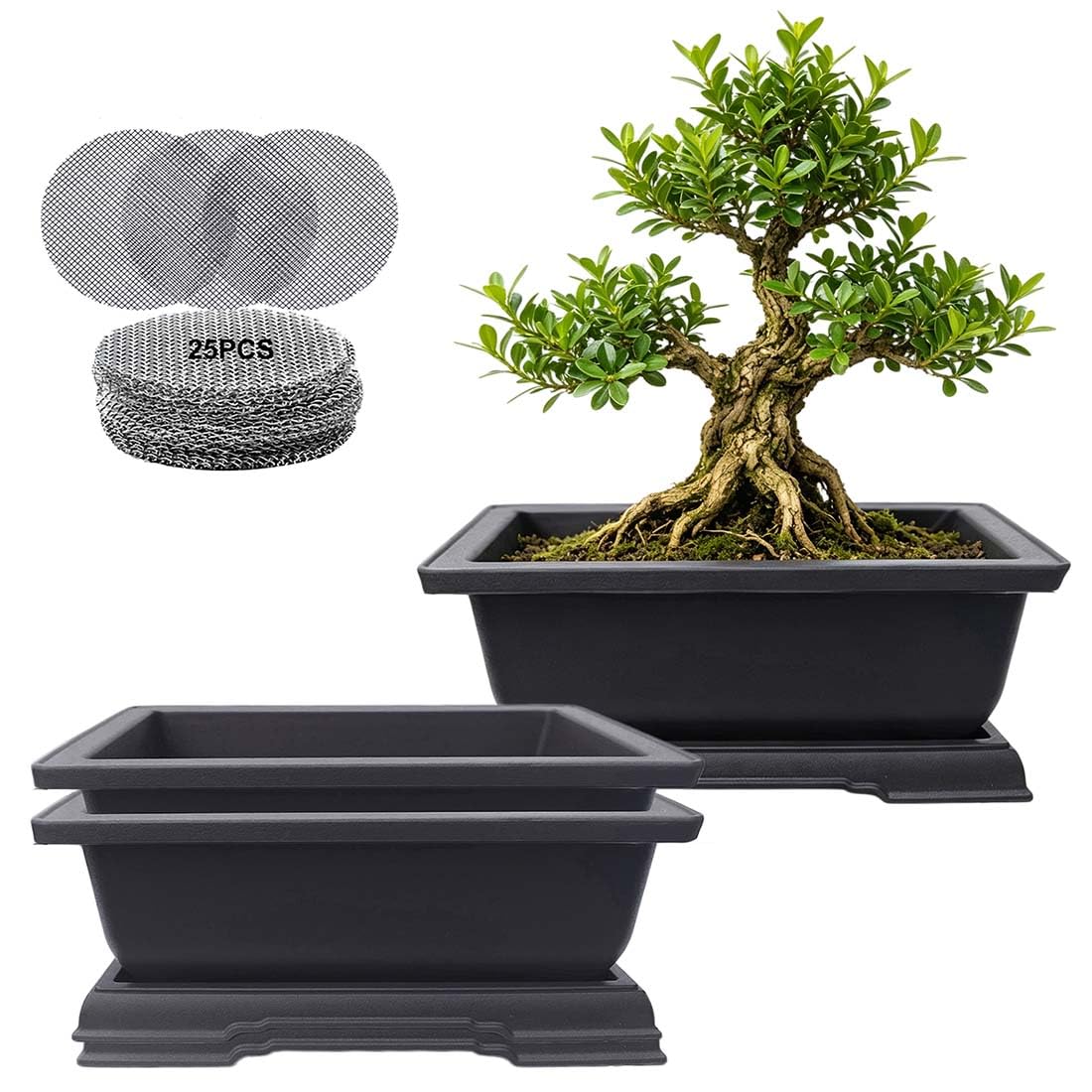 Amazon.com: MUZHI 3PCS Retro Style Small Rectangular Garden Pots