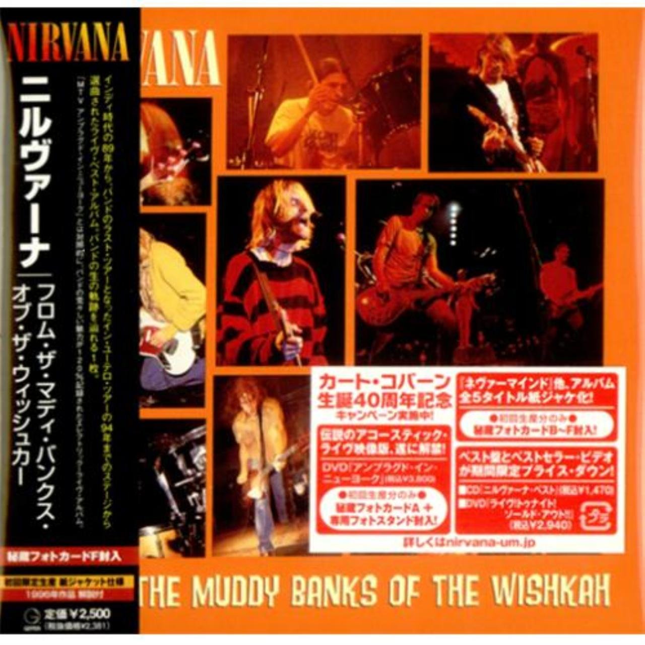 From The Muddy Banks Of The Wishkah