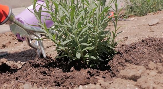Garden Weasel Tiller Till & Cultivate with Ease! Features Dependable Aluminiron Construction, Non-Slip Comfort Grip, Two-Sided Prongs