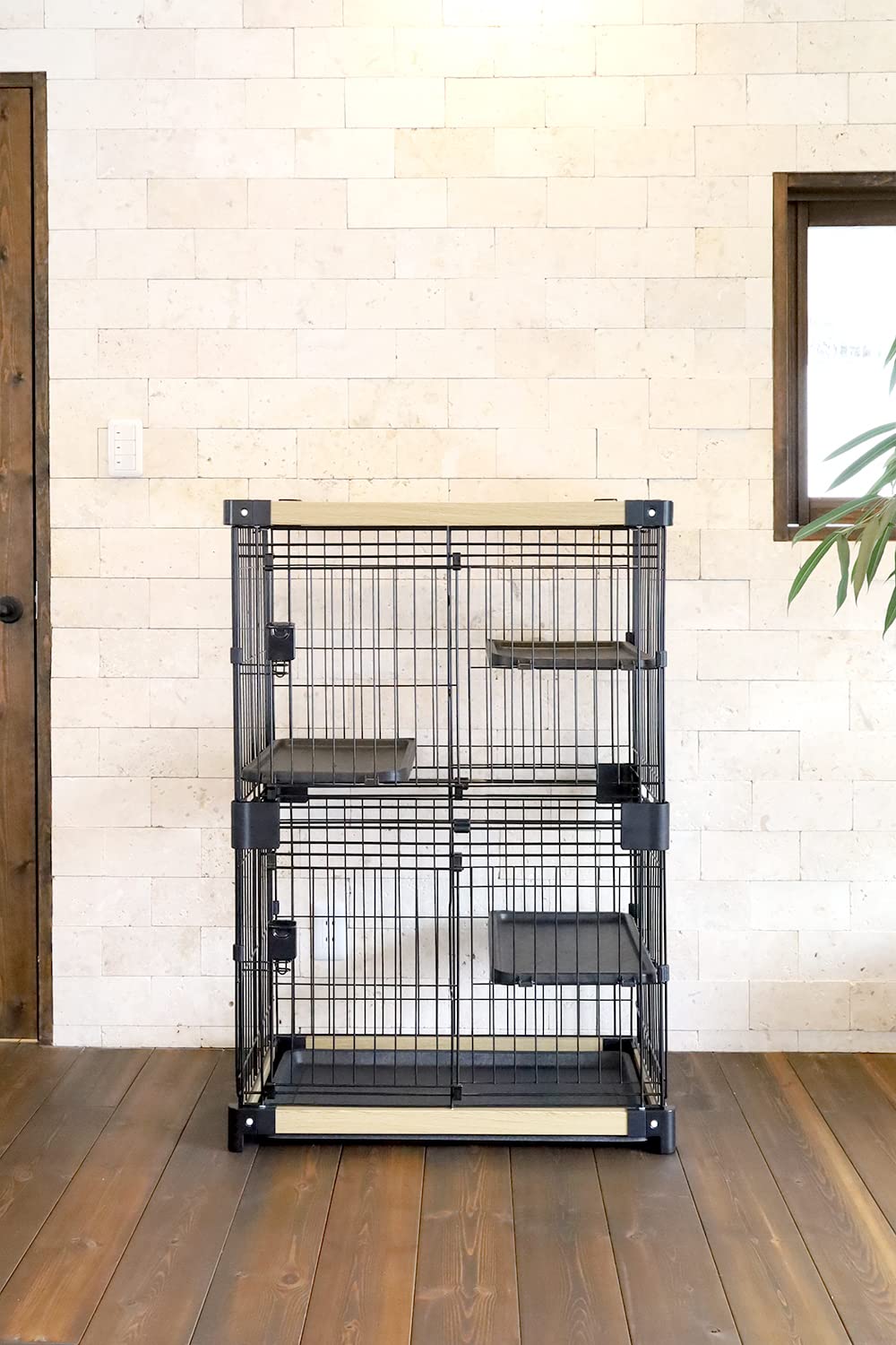 専用ページ　2日目 Amazon.co.jp: 【在庫処分の為50% OFF!】 ワンモード キャット