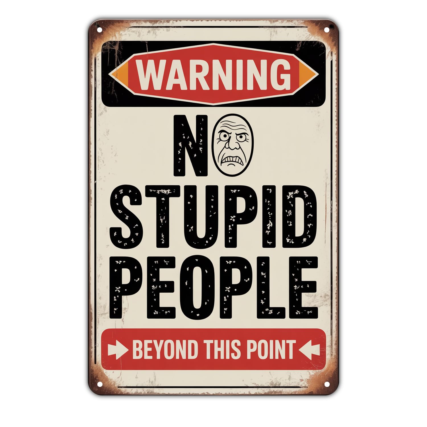Warning No Stupid People Humorous Tin Sign Vintage Funny Metal Sign Print Aesthetic Metal Tin Sign 8X12 Inch