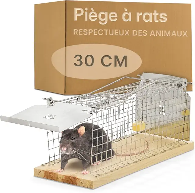 Cage à Rat Vivant Réutilisable - Piège à Rongeurs pour Rats et Souris