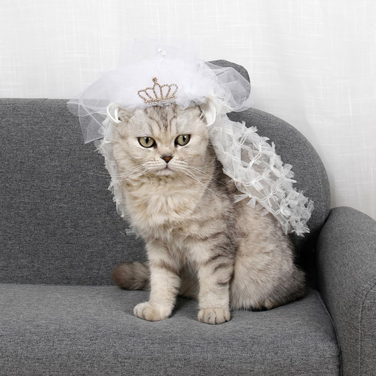 bridesmaid dresses for cats Little Princess Cat Dress