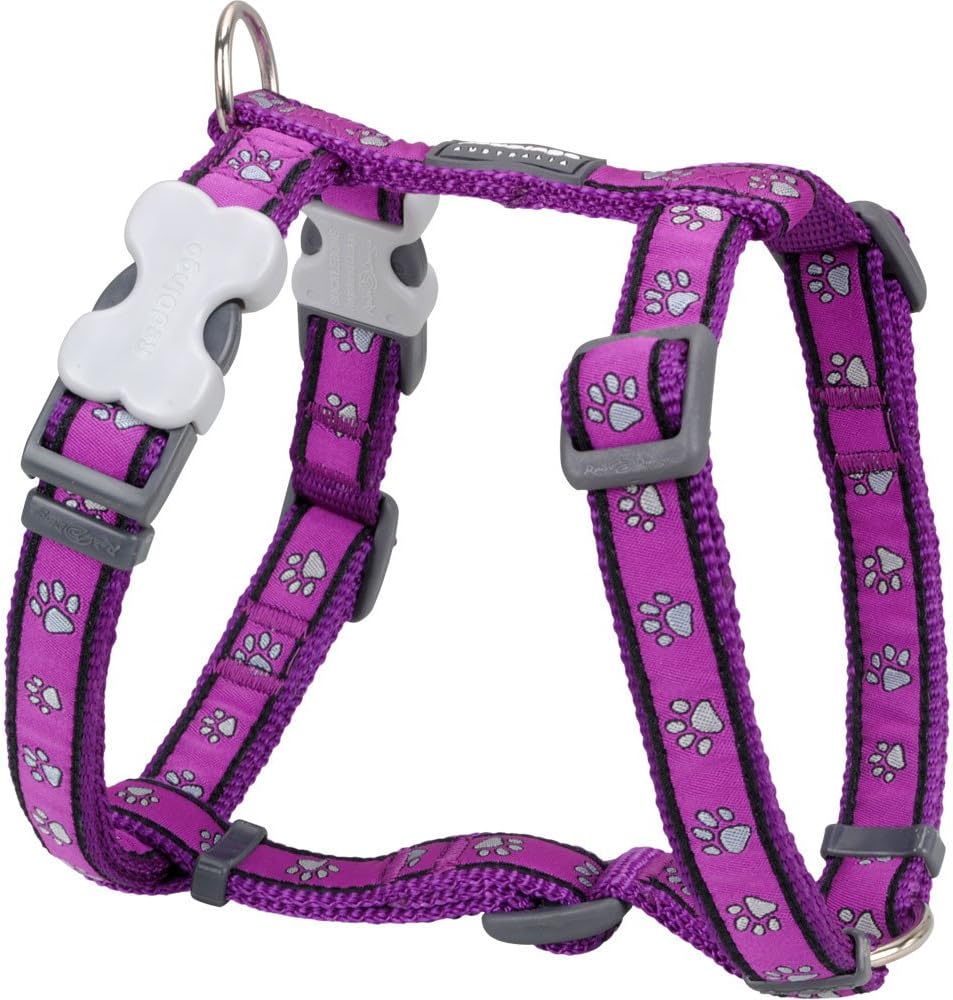 Red Dingo Designer Dog Harness Purple Pawprints Pet