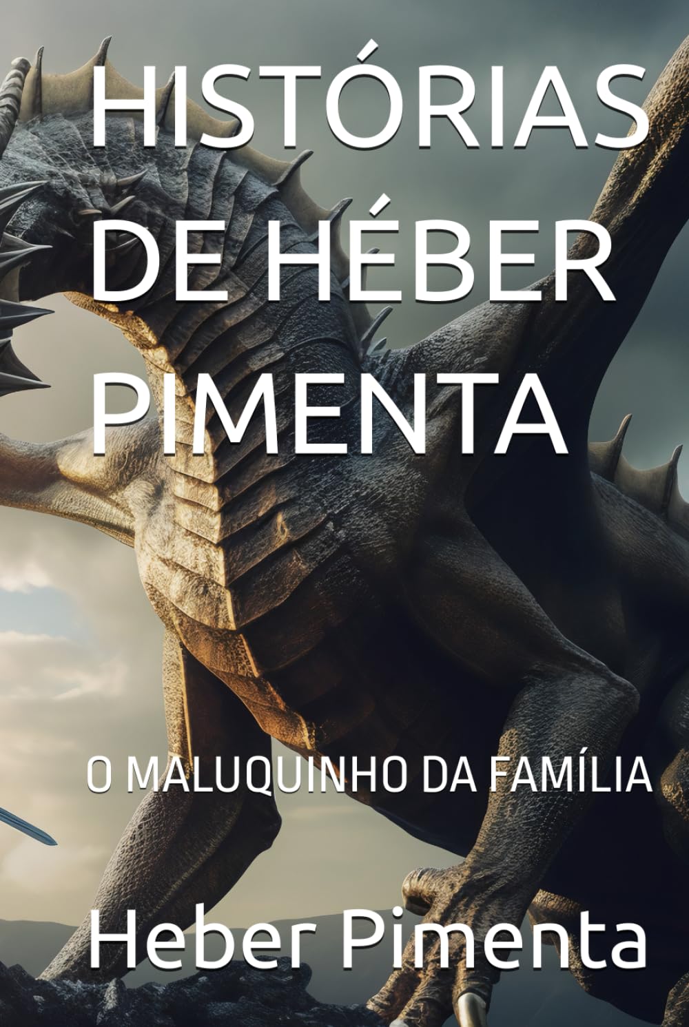 HISTÓRIAS DE HÉBER PIMENTA: O MALUQUINHO DA FAMÍLIA