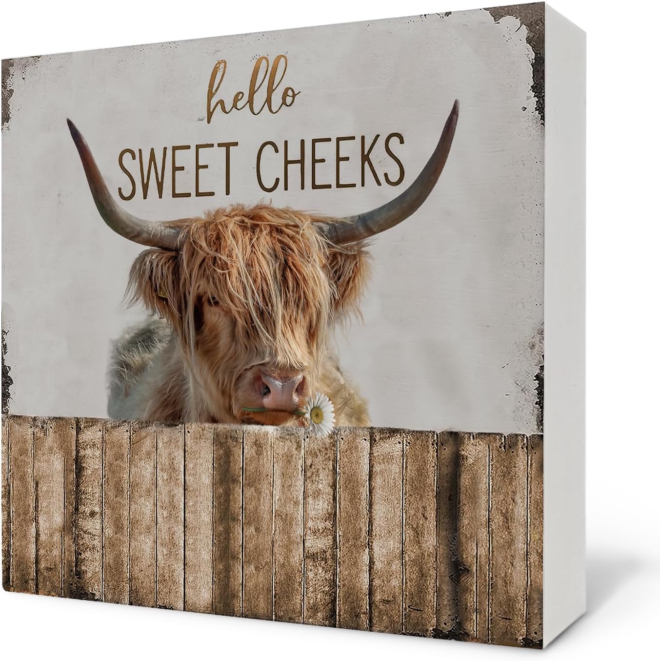 Hello Sweet Cheeks Bathroom Sign - Highland Cow Wooden Box Sign, Funny Bathroom Decor for Shelf, 5x5 Inch