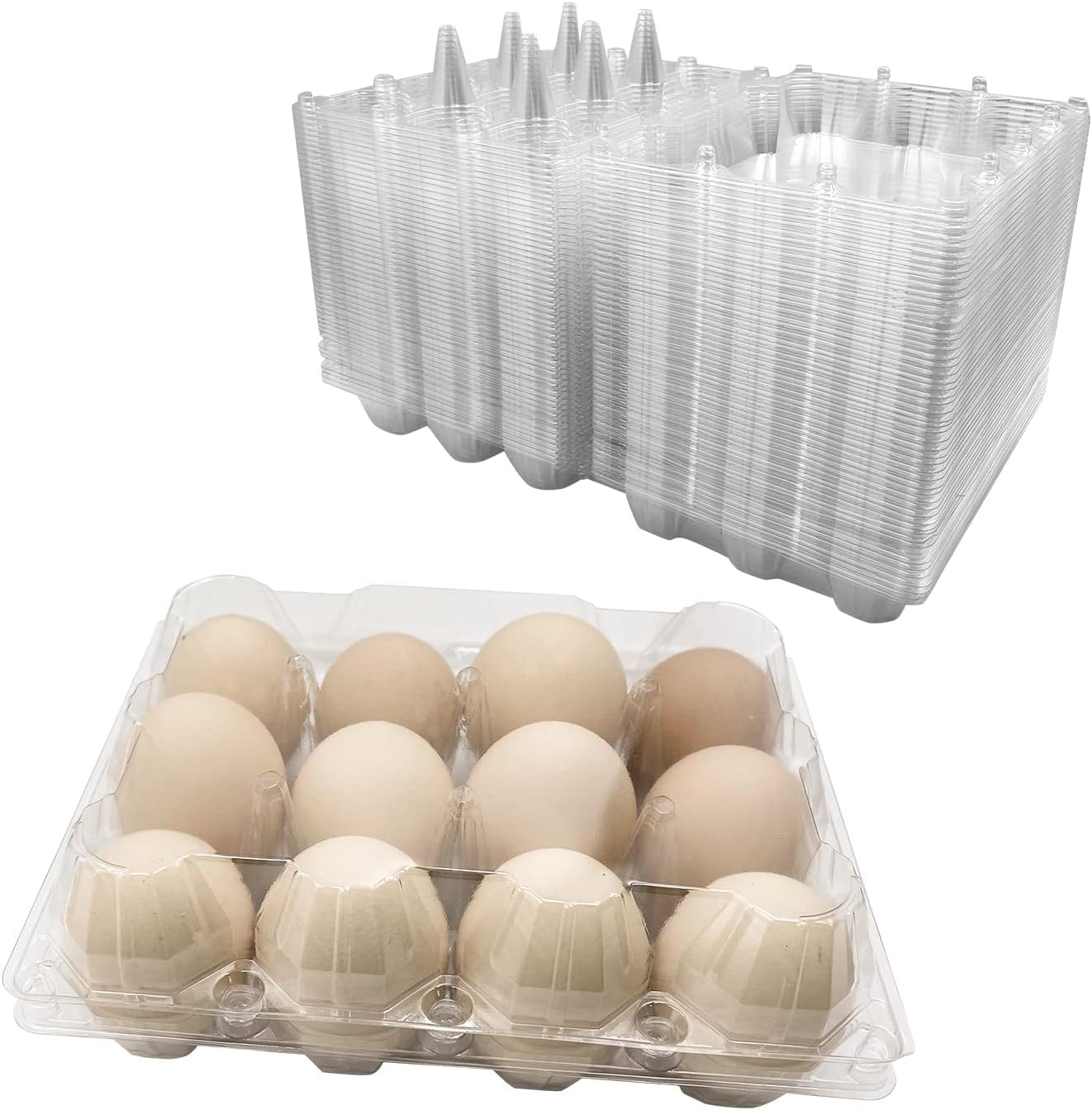 50PCS Egg Cartons,Eco-friendly Clear Plastic Blank Egg Carton Bulk,Holds Up to 12 Eggs Securely,Refrigerator Egg Tray Storage for Family Pasture Chicken Farm Business Market