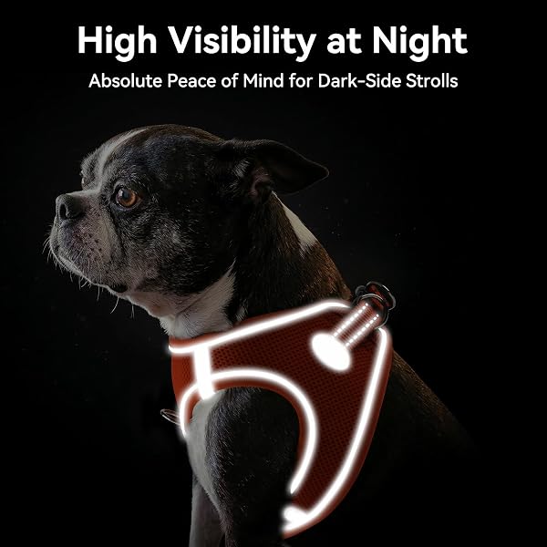 Joytale Arnes Perro, Reflectante Cómodo Transpirable Arnés, Perros Arneses Chaleco para Gato y Cachorros Perro, Naranja, S - 5