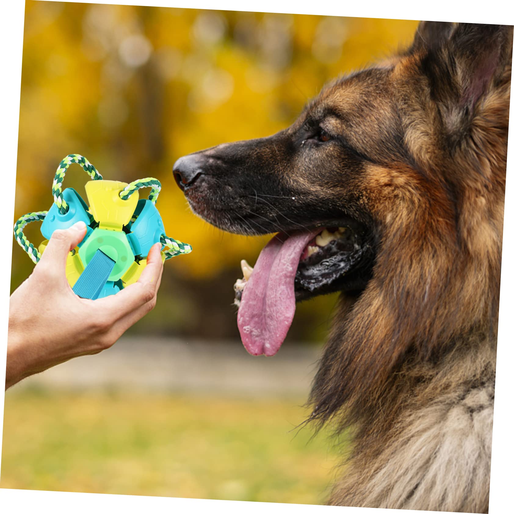 Hunde Flugballspielzeug für Wurf und Apportieren, 1 Stück