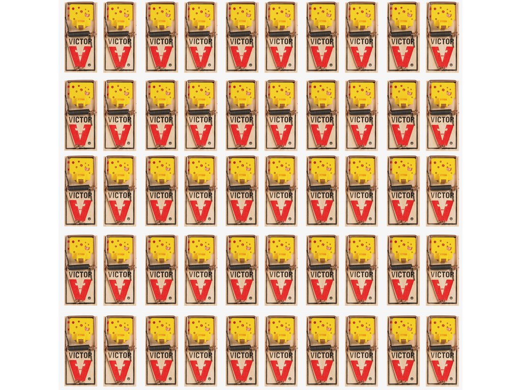 VictorEZ set mouse trap (Pack of 50)