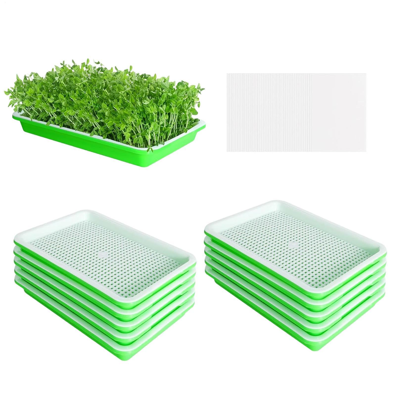 Plateau de germination pour manger sain avec vos légumes de balcon frais