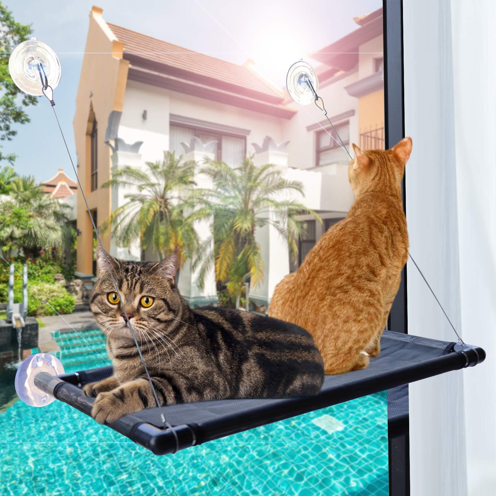 PetIsay Premium Metal Cat Window Hammock Perch Cat Bed Kitty Sunny Seat Durable Pet Perch with Upgraded Version 4 Big Suction Cups Cat Bed Holds Up to 60lbs and Removable Cover is Machine Washable.