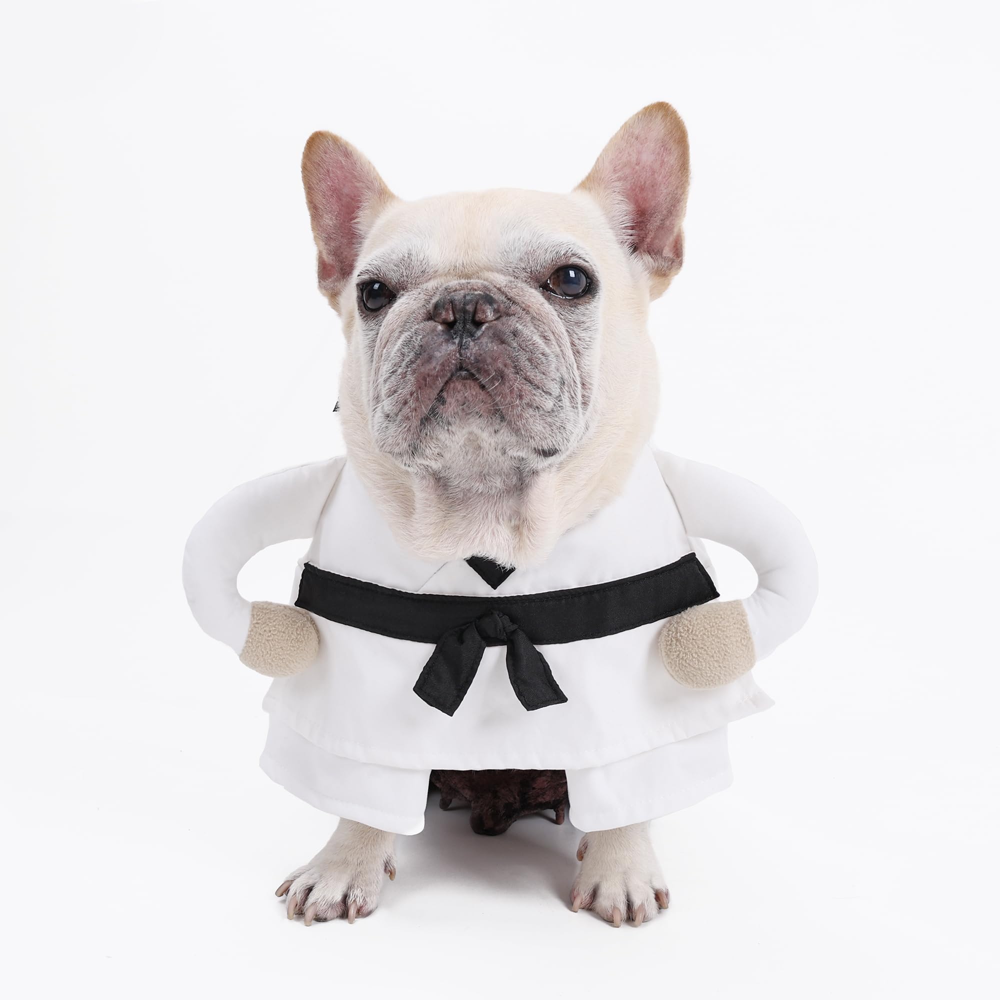Duuclume Martial Arts Styling Pet Costume - Funny Creative Halloween Outfit for Cats & Dogs Cosplay Party, Pet Apparel Festival Decoration (S)