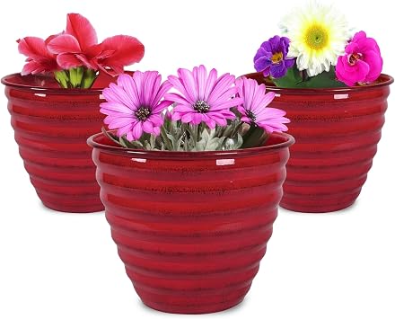 Headwind Ironstone 6" Avondale Classic - Autumn Blaze 3-Pack
