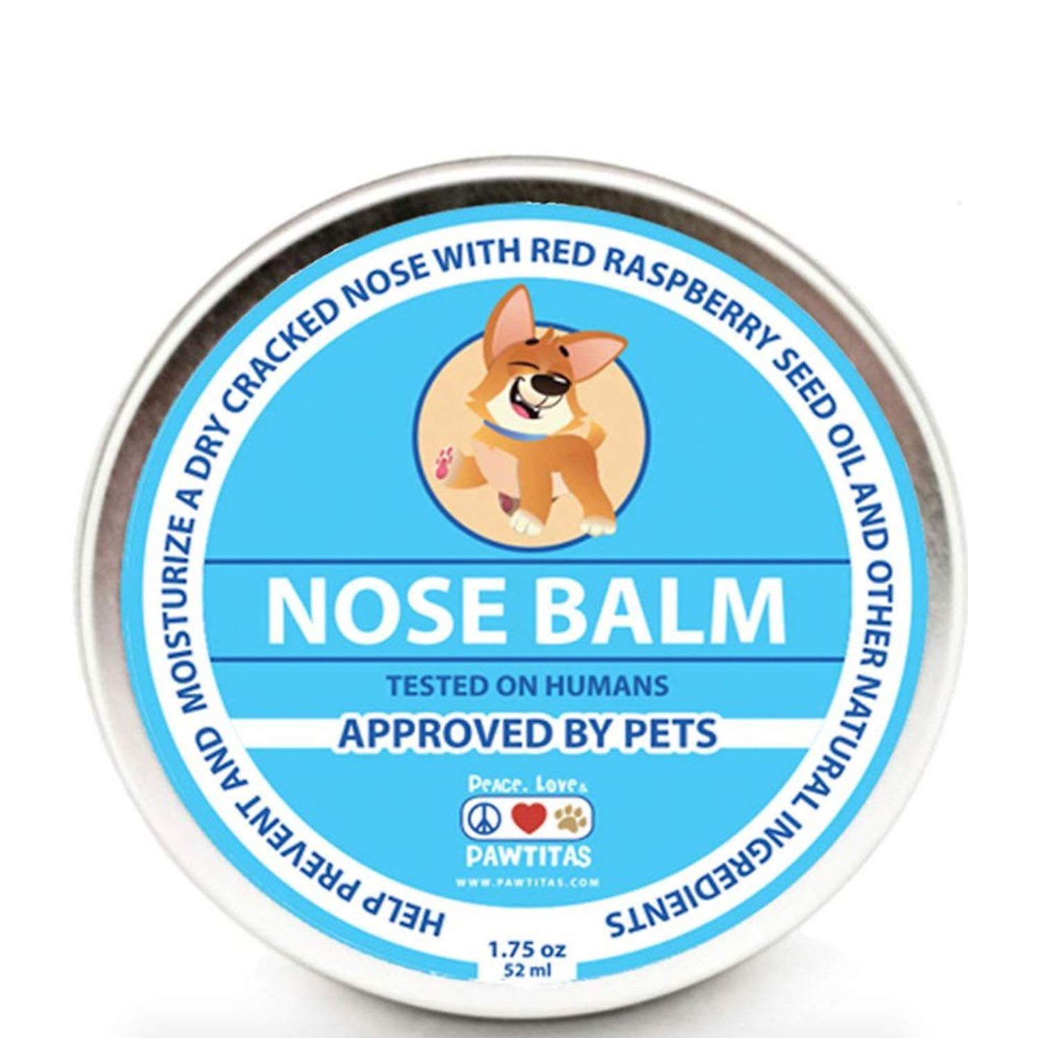 Should A Dogs Nose Be Hot Or Cold