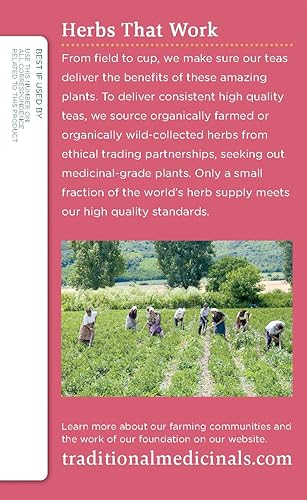 Miniatura 5 de Traditional Medicinals - Té orgánico para embarazo, té para mujer, 16 bolsas de té (paquete de 6)