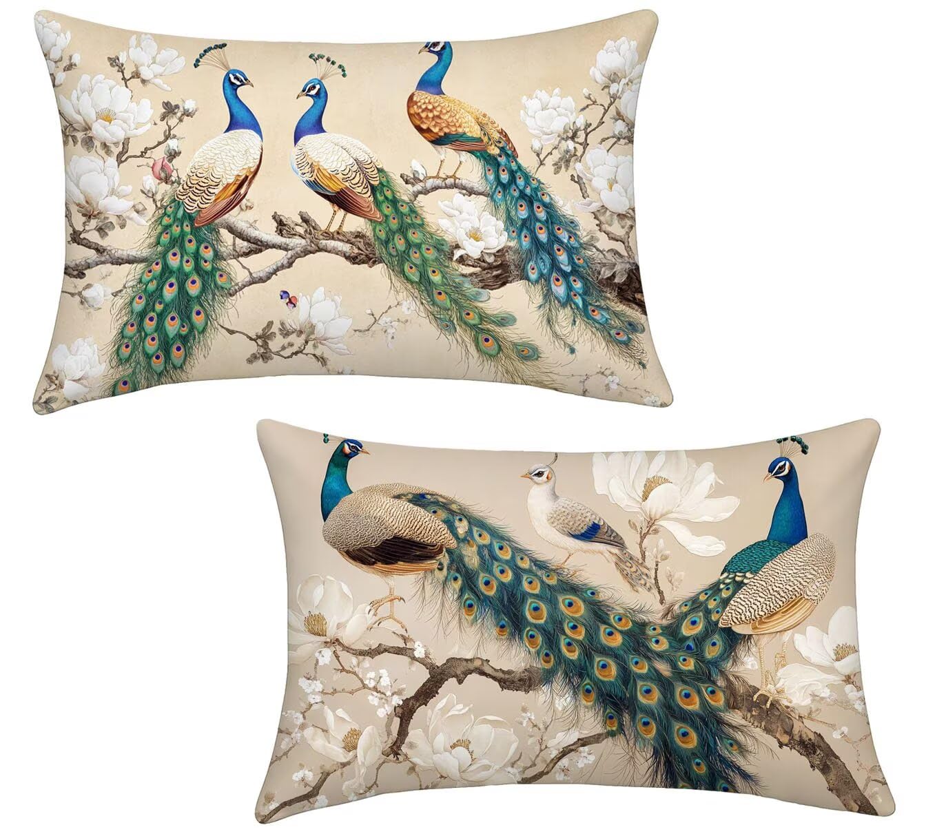 Cuscini per Divano 50x70 Set da 2 Colore tè Cuscini per Divano Esterno Giardino Copricuscini Copricuscino Letto Velluto Federe Cuscino Letto, per Soggiorno Sedie Balcone Campeggio Spiaggia, Paone x-82