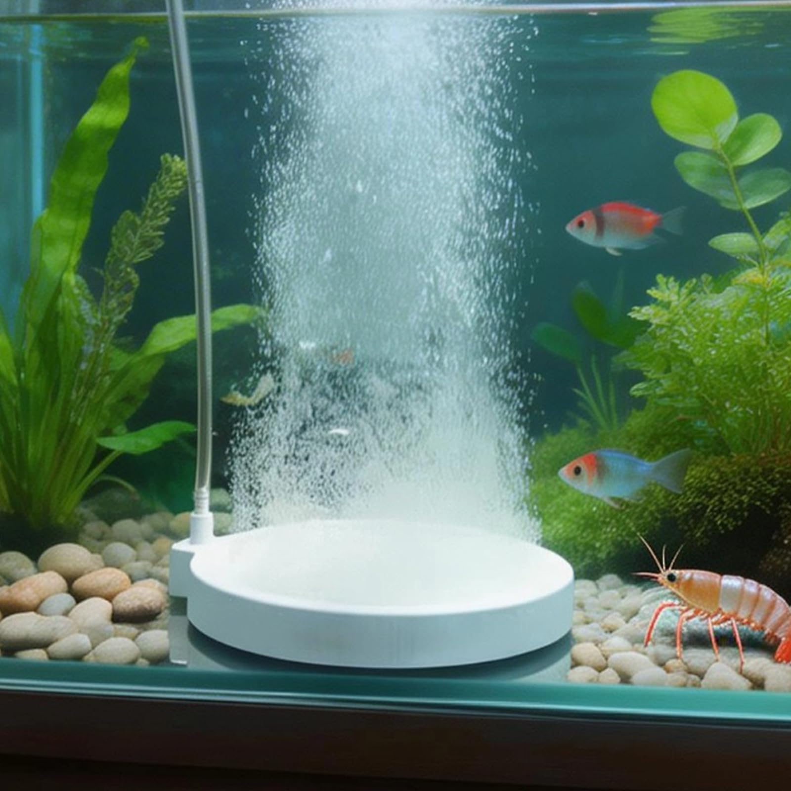 Vauki 3 piedras nano-efervescentes para acuario, piedra de aire silenciosa, acuario, salida de aire de 5 cm, para acuario, emisión de oxígeno, ultra microburbujas, para acuarios, cubos de hasta 60 cm — view 7