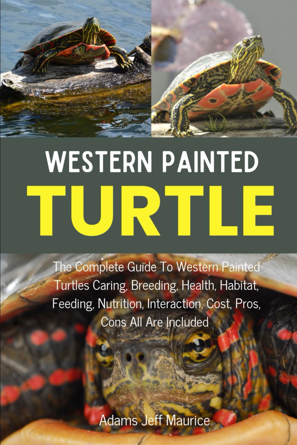 Western Painted Turtle: The Complete Guide To Western Painted Turtles Cari