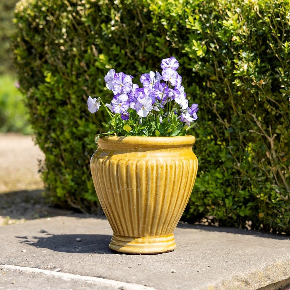 Primrose H22cm Terracotta Round Planter In Yellow Garden Patio Flower Pot