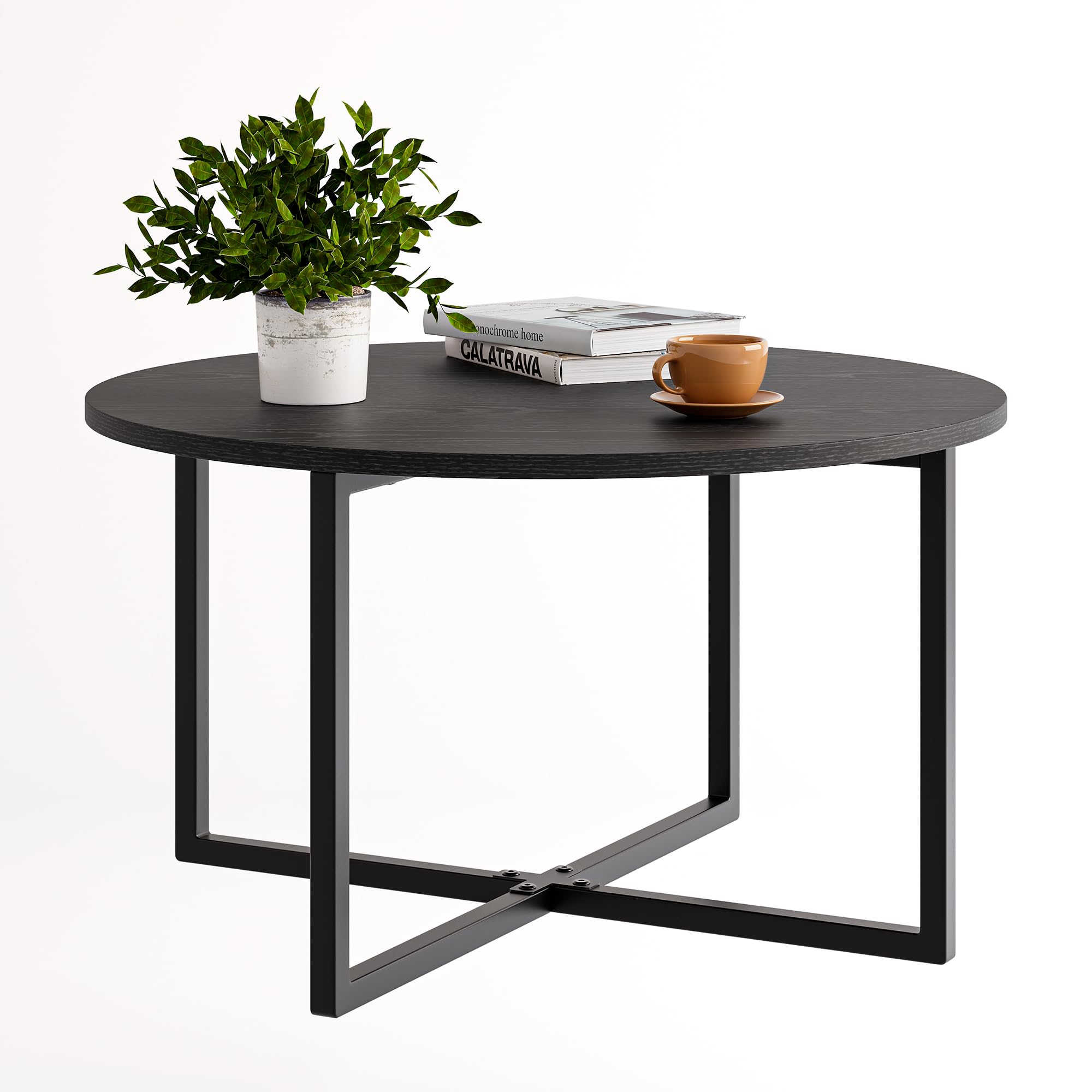 Diolong Round Coffee Table for Living Room Side Table with Metal
