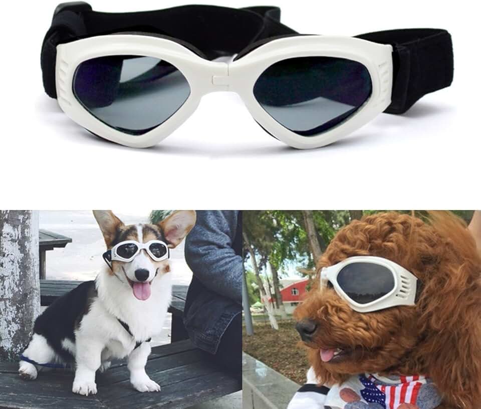 Sunglasses for Dogs Amazon.co.uk