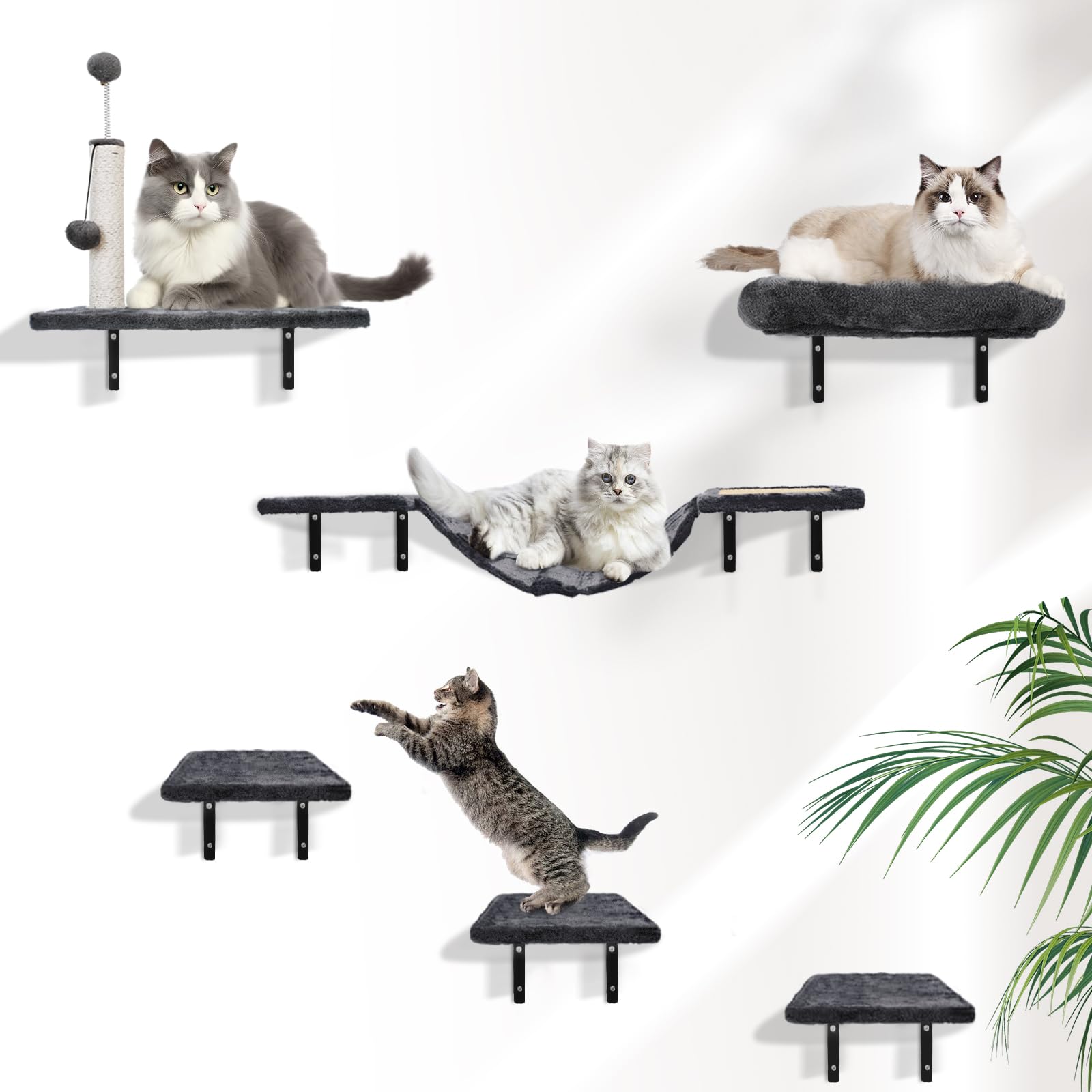 Kletterwand Katzen Set-Katzenbaum,6-Teiliges Wandregale, Wandpark mit Katzensalon, Katzenbrücke, Katzenbaum, Katzentreppe und Kratzbrett bis zu 13 kg Frühlingsbälle für Katzen