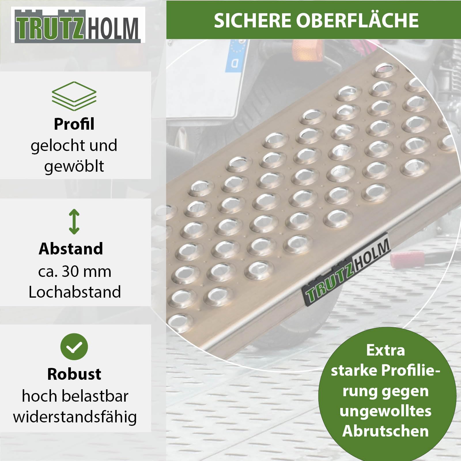 TRUTZHOLM Auffahrrampe Aluminium Länge 200 cm Auffahrbreite 22 cm Tragkraft 200 kg gelochte Lauffläche Rampe starr für Fahhrad E-Bike Motorradrampe für leichte Motorräder Mopeds Mofas Verladerampe