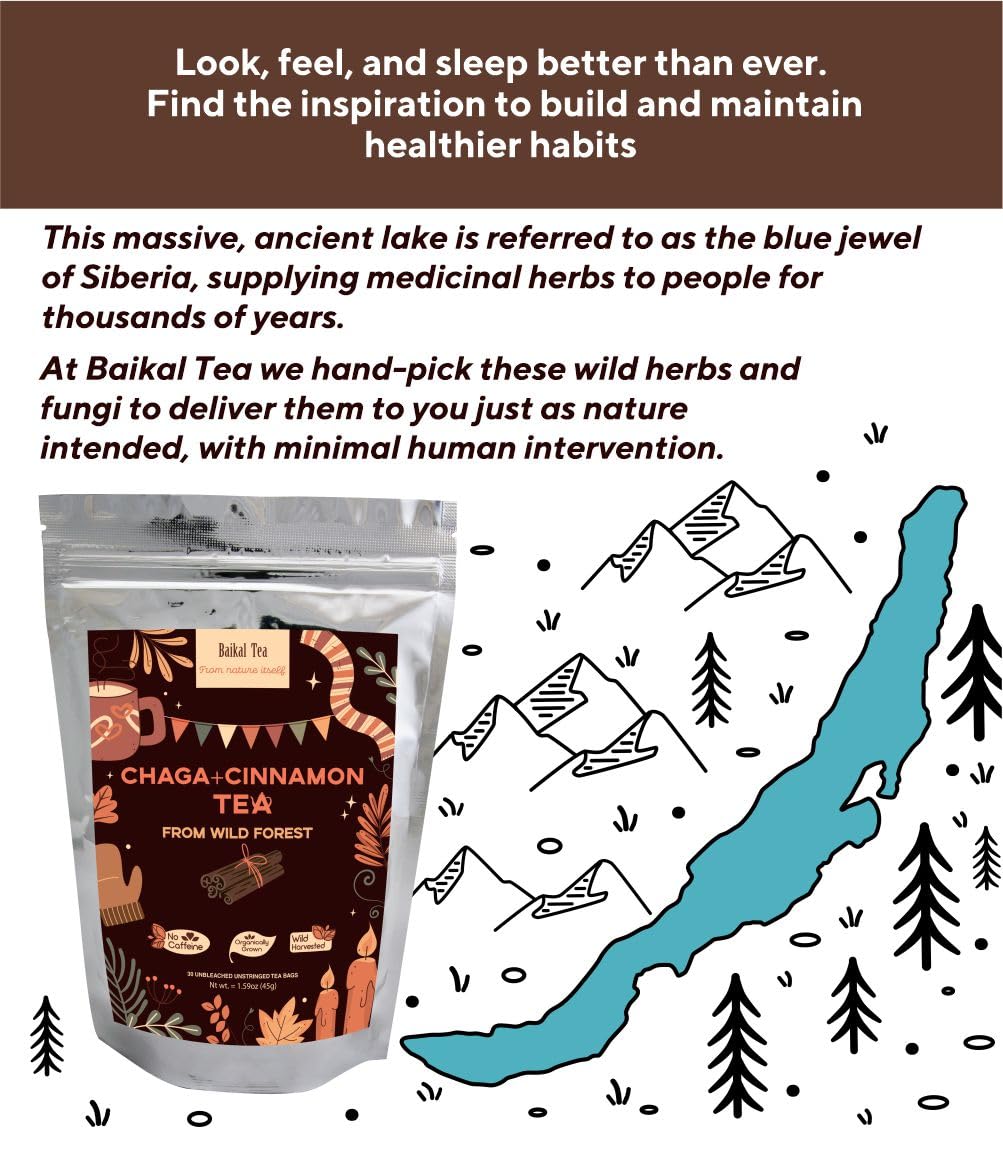 Baikal Tea - Chaga Cinnamon Blend - 100% Wild Siberian Birch - Organic - 30 Unbleached Tea Bags - Pure No Additives