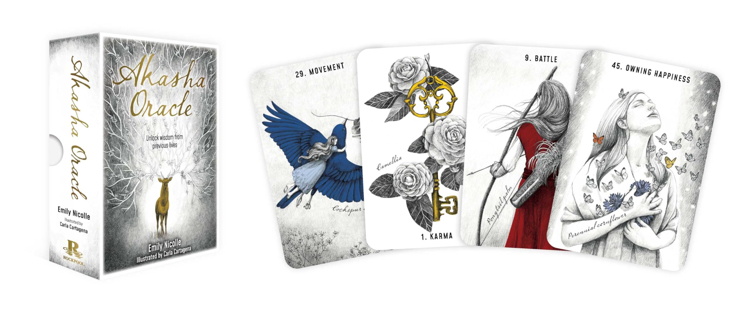 Akasha Oracle: Unlock wisdom from previous lives (Rockpool Oracle)