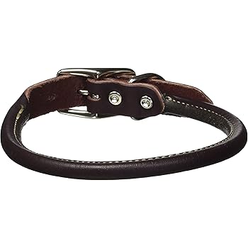 circle t rolled leather dog collar