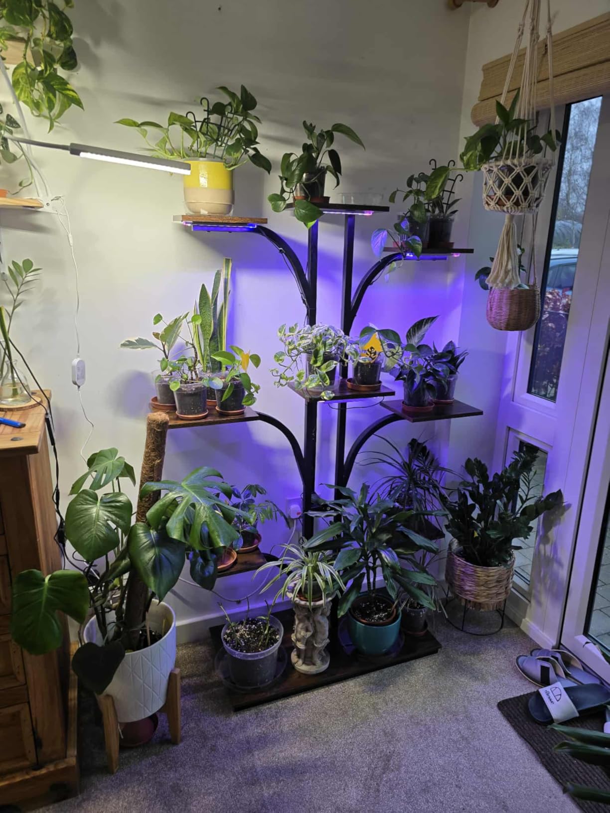 Customer photo