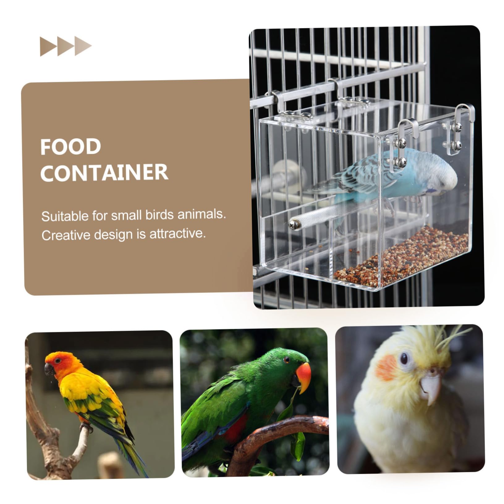 Plastique Mangeoire à Oiseaux Automatique pour Perroquet et Petits