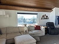 Review Image by Carrie Carrie