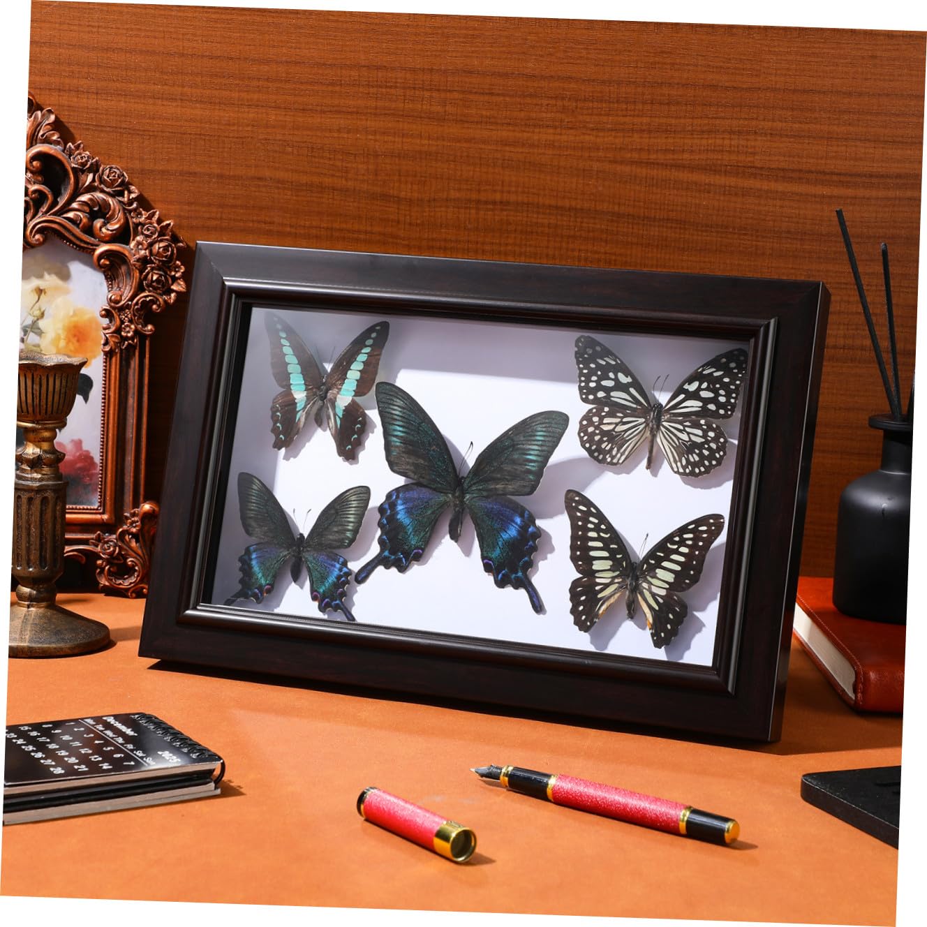 ERINGOGO Marco de Madera para Especímenes de Mariposas Decoración de Pared con Arte Mural de Mariposas Adorno Colgante para Sala de Estar Marco para Exhibir Especímenes Artesanía