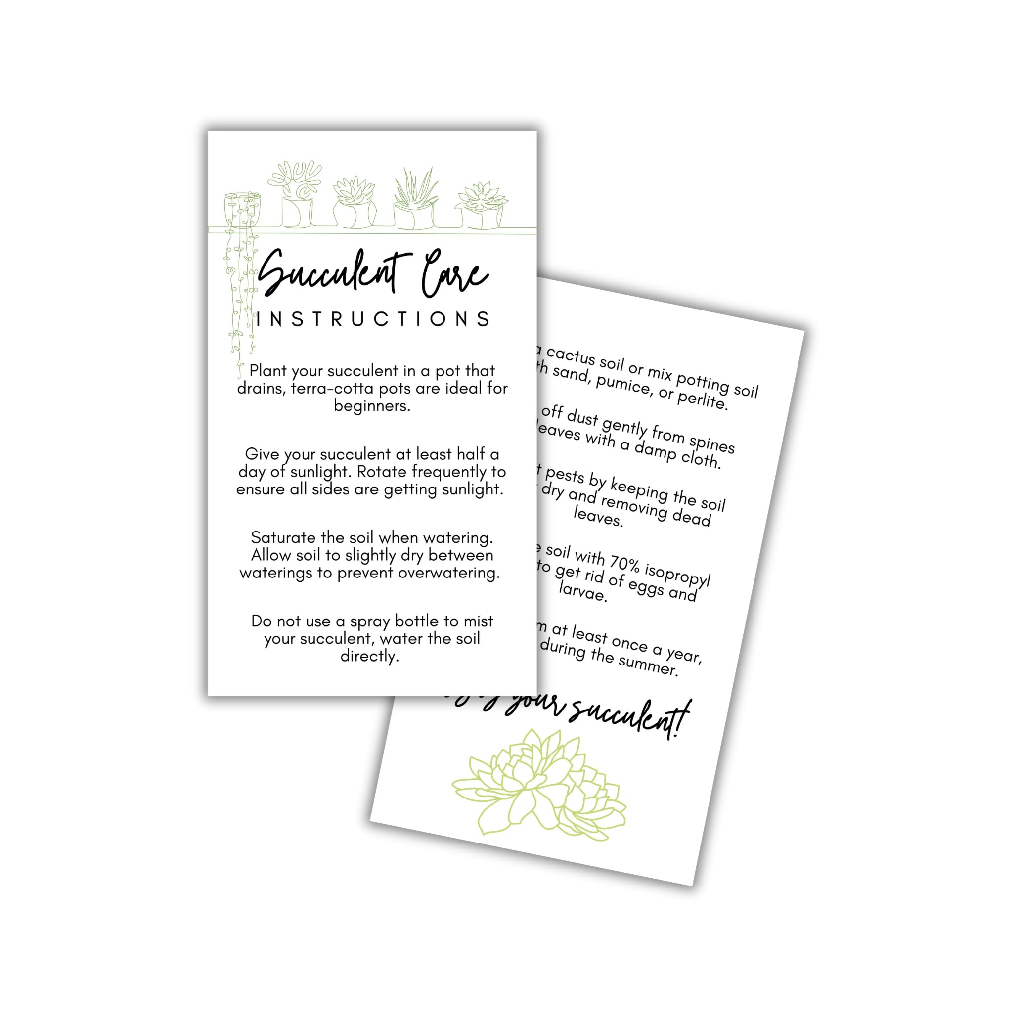 Succulent Care Instruction Cards with Icons 50pk 2x3.5” Home Propagated Plants Tags Labels White Simple for Sale Client Care How to Water Kit