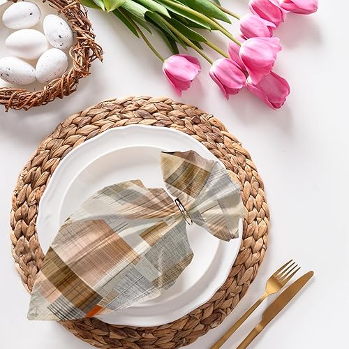 Cloth Napkins Set of 4 Abstract Painted 20x20 Inch Cloth Napkins Abstract Plaid Washable Reusable Kitchen Dinner Napkins Table Decor for Wedding,