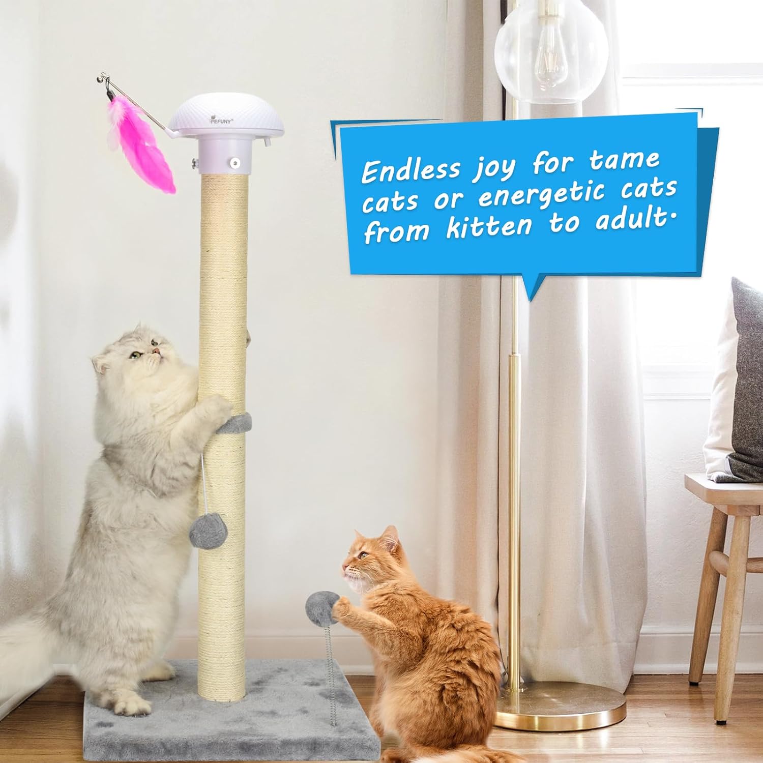 review Cat Scratching Posts Sisal Scratch Posts with Hanging Ball for Indoor Cats Claw Scratcher (34 inches with Top Toy, Grey)