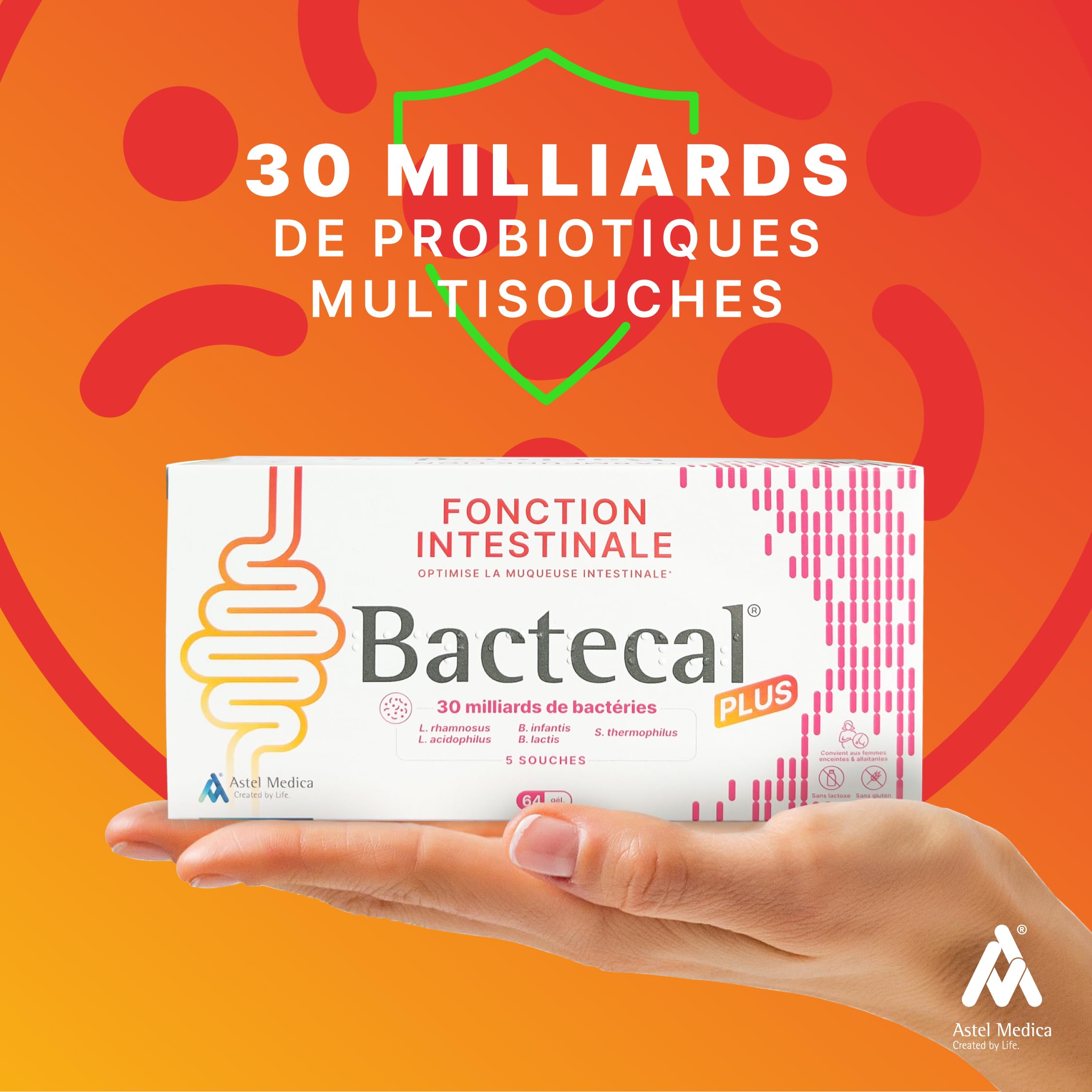 PLUS - Soutien digestif et immunitaire & Restauration de la flore intestinale - Probiotiques - Complément alimentaire - 64 gélules