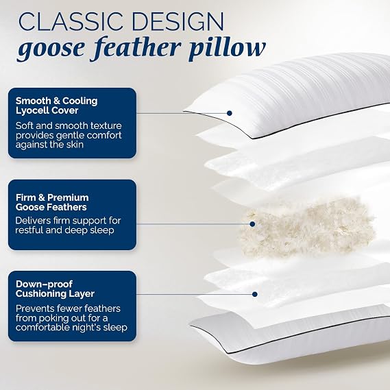 downluxe Goose Down Pillow - Hotel Collection Down Pillow for Back, Stomach or Side Sleepers, King Size, Set of 2 20x36