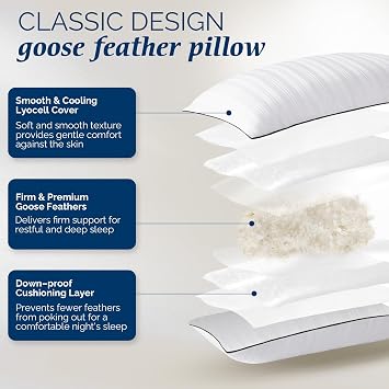 downluxe Goose Down Pillow - Hotel Collection Down Pillow for Back, Stomach or Side Sleepers, King Size, Set of 2 20x36