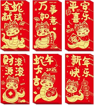 2026 Chinese New Year Red Envelopes 24 Pcs Hong Bao, 3.5 x 6.7 inch Embossed Foil Lucky Money Red Packets for Spring Festival, Wedding, Birthday