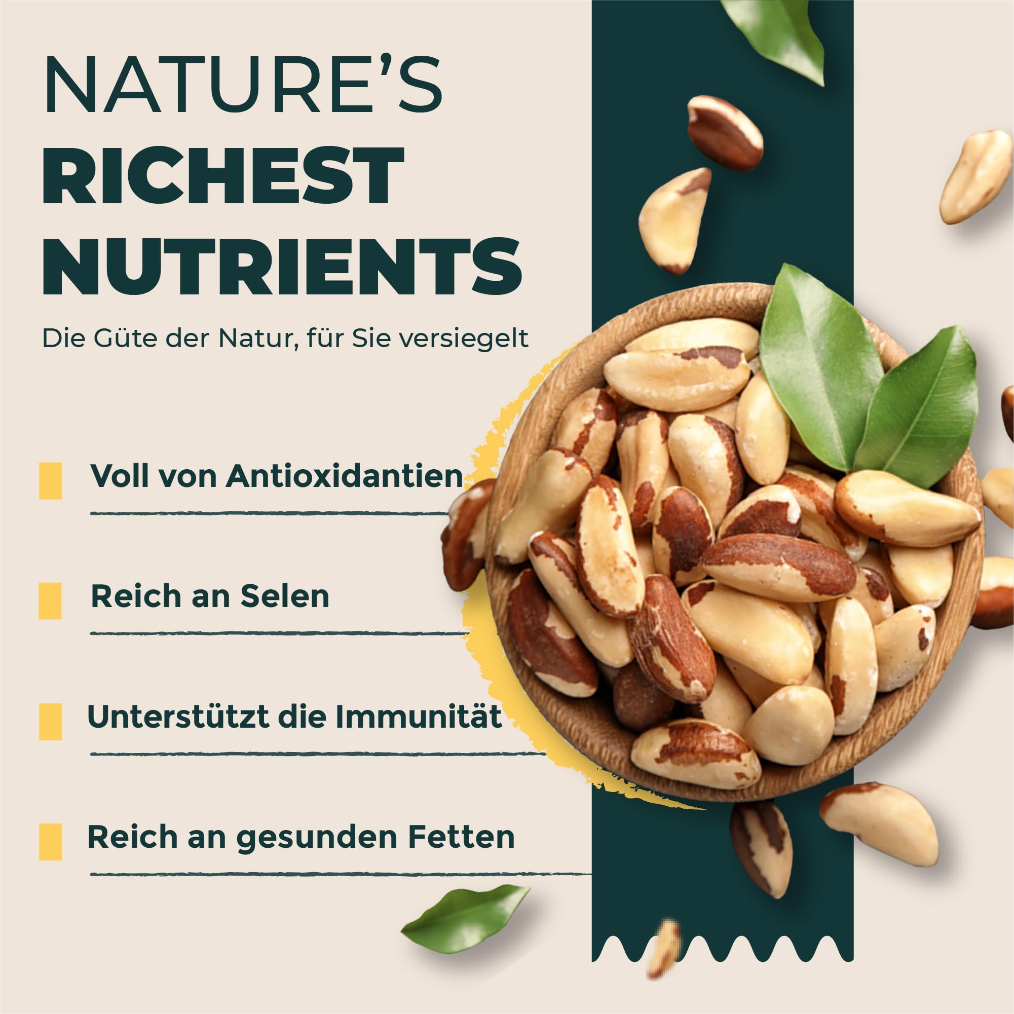 FOODIN Paranüsse 2x500g, Ausgezeichnete Quelle für Eiweiß und ungesättigte Fettsäuren, 100% Bio Paranüsse, Glutenfrei und Vegan, 2er Pack