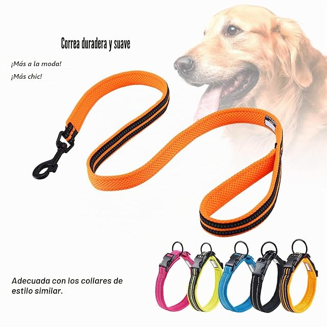 Foto 6 de 7 de PETTOM Correa para Perros Pequeños Grandes Medianos Reflectante Acolchado Suave Cómoda de Usar Evitar…