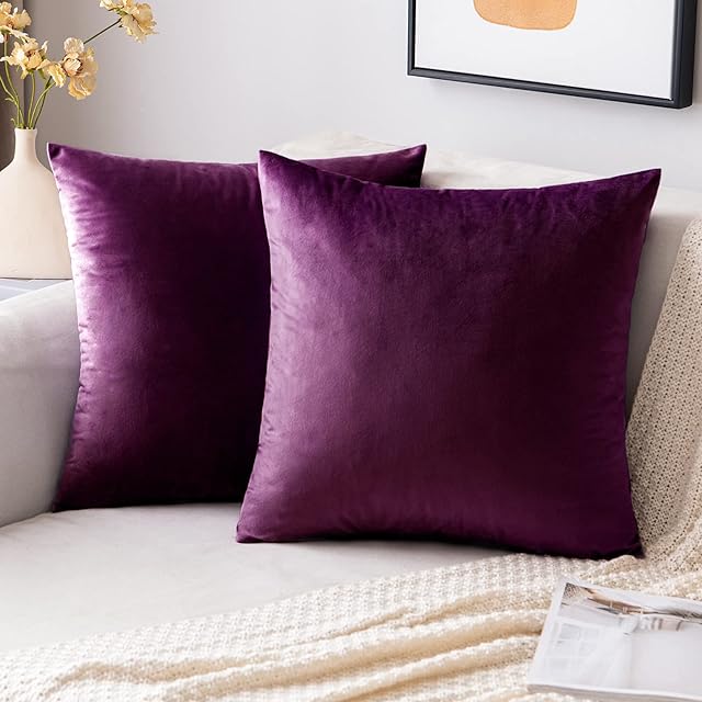 EMEMA Velvet Cushion Covers Aubergine Decorative Throw Pillow Case 16x16 Inch 40x40 cm Pillow Covers for Livingroom Sofa Bedroom Pack of 2