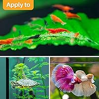 Vista 6 de Sukh 30 hojas de almendra india para Betta – Acondicionador de agua de almendras grandes para acuarios Catappa Acondicionador de agua de almendras