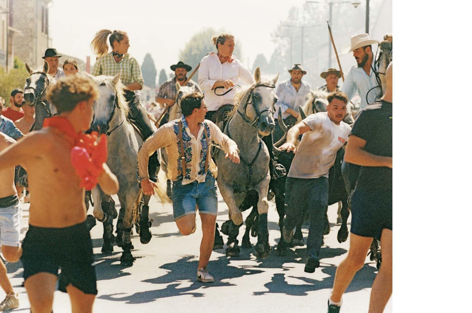 La Camargue